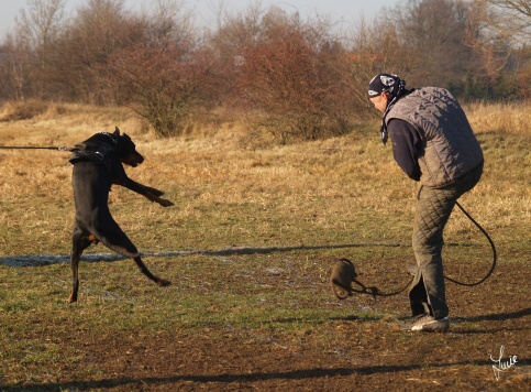 The christmas training 27.12.2006